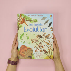 see inside evolution
