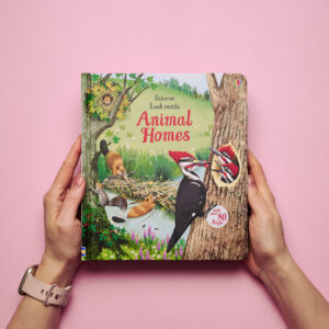 look inside animal homes